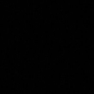 Meet your Posher, Sienna